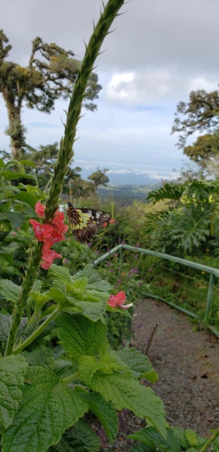 Casa El Granero Monteverde Екстер'єр фото
